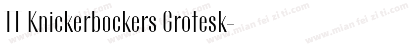 TT Knickerbockers Grotesk字体转换